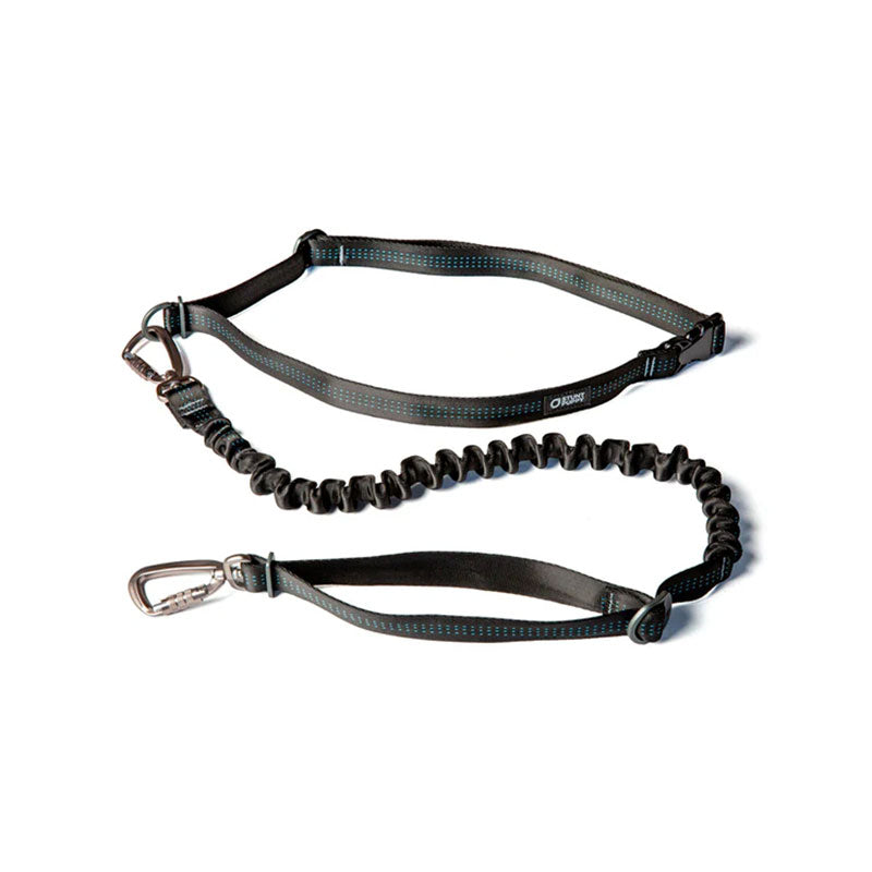 Stunt Puppy Stunt Runner