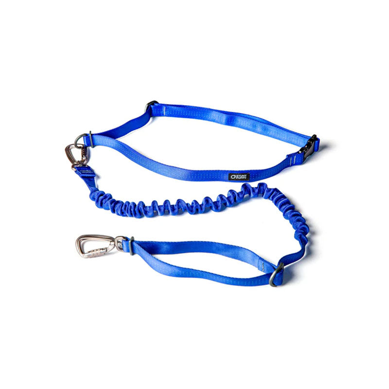 Stunt Puppy Stunt Runner